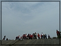 2011-11-27 11-20-31鰲鼓溼地賞鳥趣.JPG